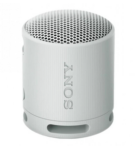 Портативна колонка Sony SRS-XB100 Grey (SRSXB100H.CE7) SRSXB100H.CE7 фото