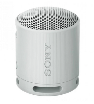 Портативна колонка Sony SRS-XB100 Grey (SRSXB100H.CE7) SRSXB100H.CE7 фото