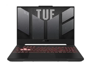 Ноутбук ASUS TUF Gaming A15 FA507NV (FA507NV-LP025W)  FA507NV-LP025W фото