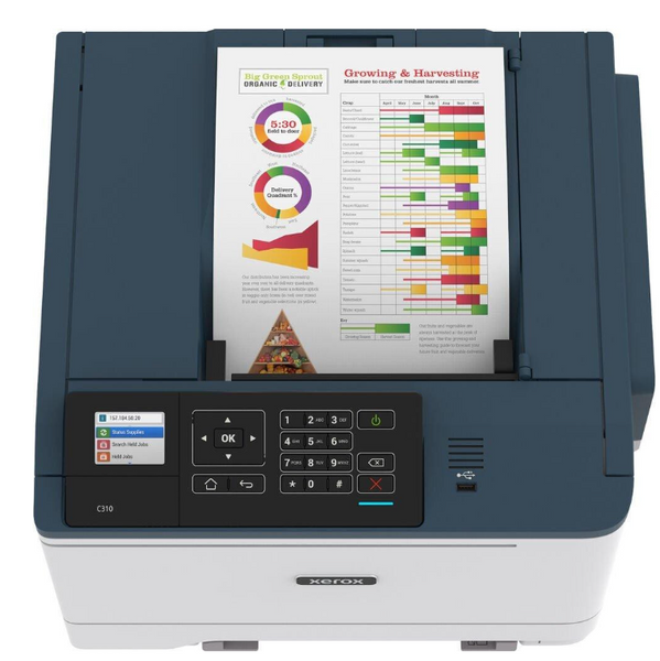 Принтер Xerox C310 + Wi-Fi (C310V_DNI) C310V_DNI фото